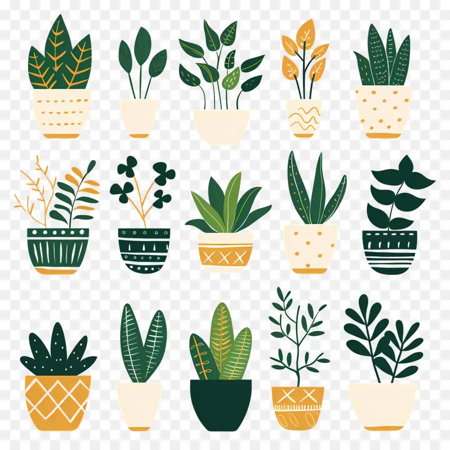 Fleurs En Pots，Plantes En Pot PNG