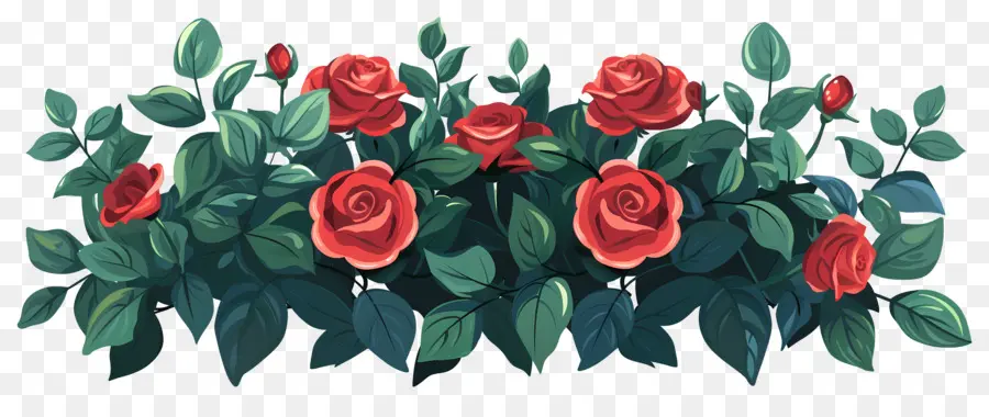 Rosier，Roses PNG