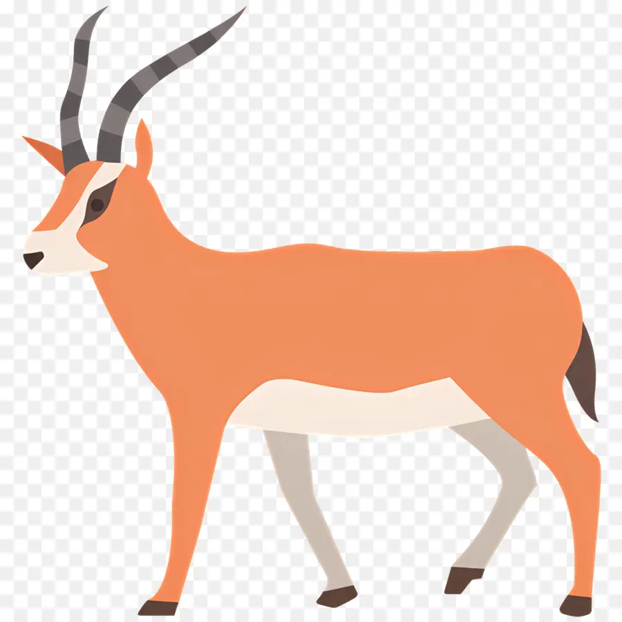 Antilope，Oryx PNG