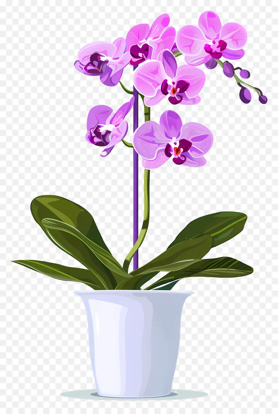 Fleur D'orchidée，Orchidée Orange PNG