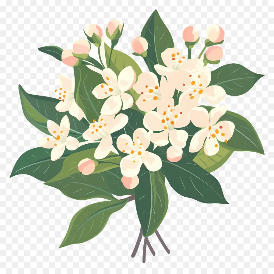 Petite Fleur，Fleurs Blanches PNG