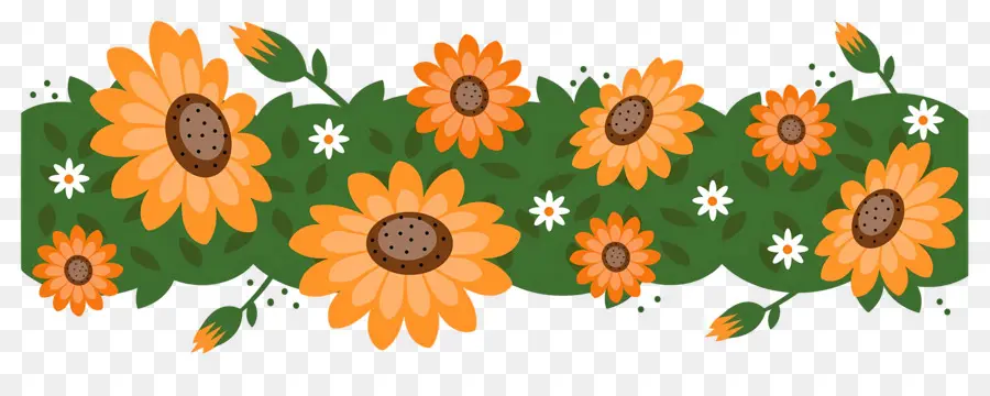 Bordure De Tournesols，Fleurs Oranges PNG