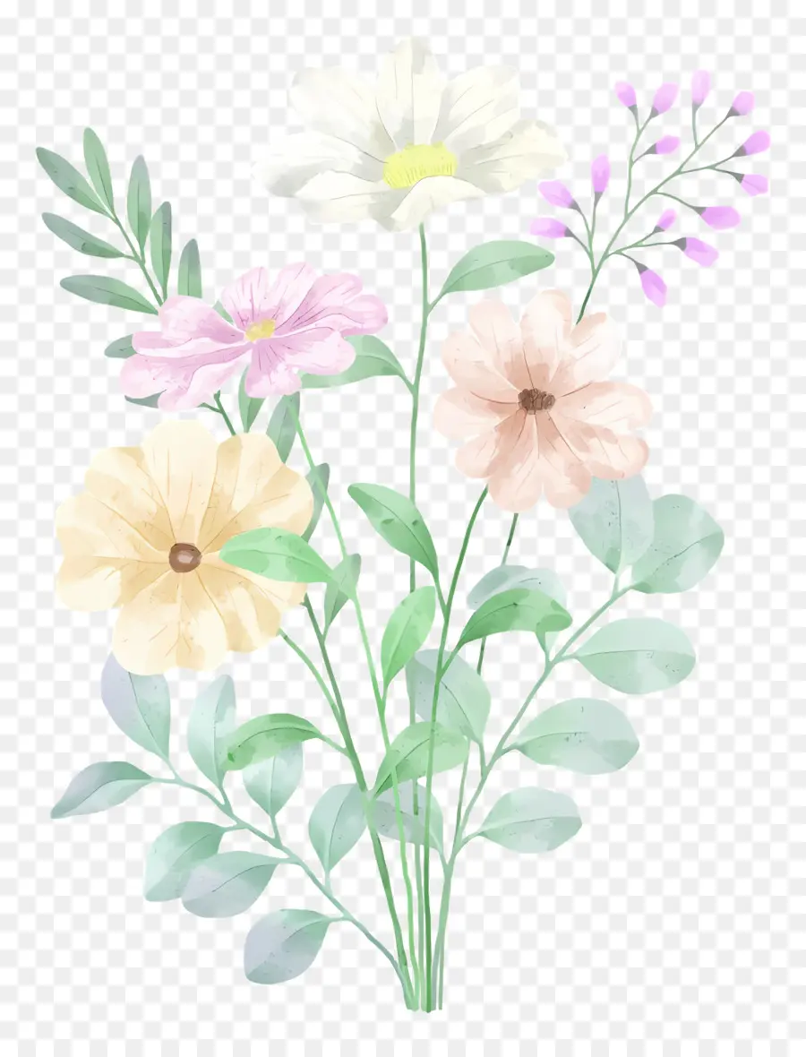 Fleurs Aquarelles，Aquarelle PNG