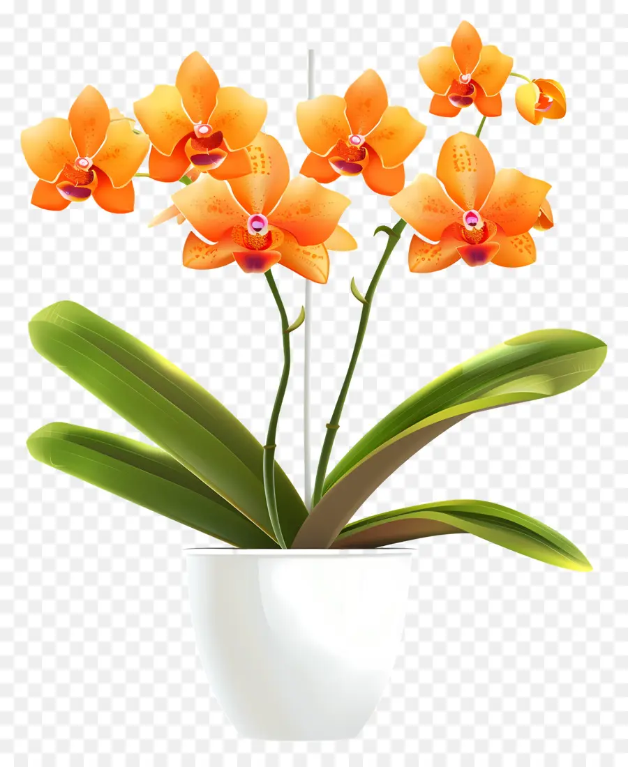 Fleur D'orchidée，Orchidée Orange PNG