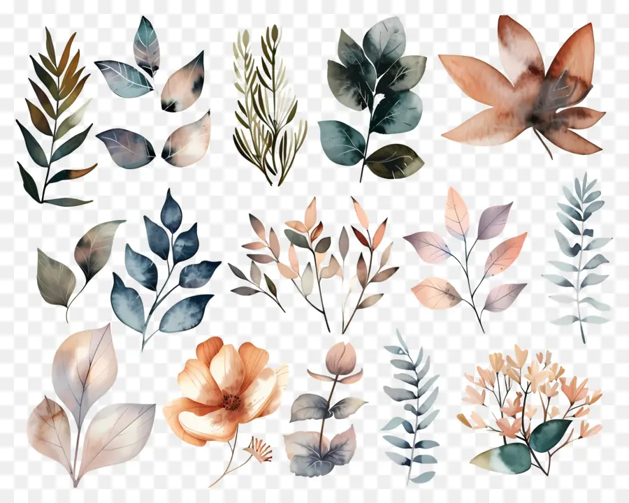 Fleurs Séchées，Feuilles D'aquarelle PNG