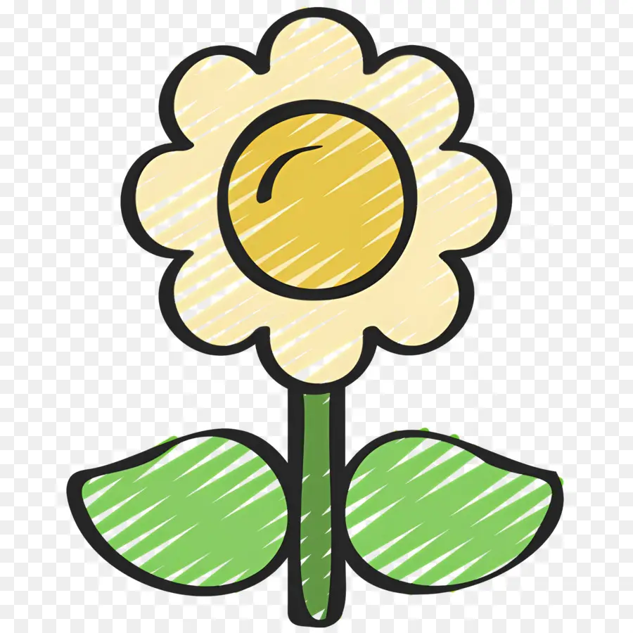 Fleur De Marguerite，Fleur PNG