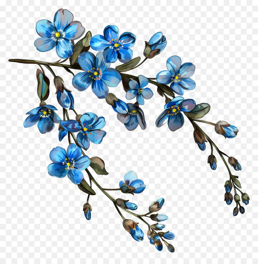 Petite Fleur，Fleurs Bleues PNG