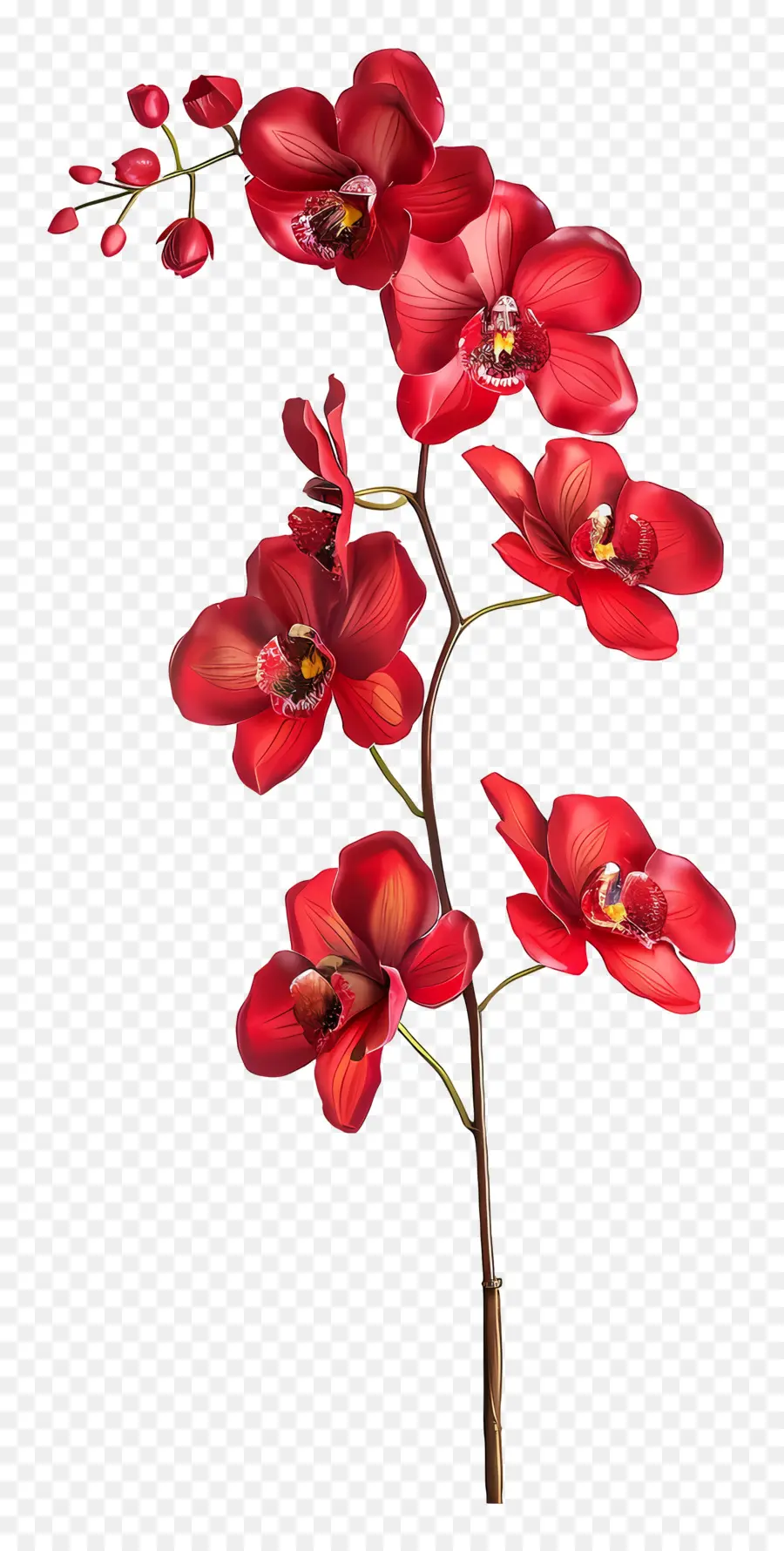 Fleur D'orchidée，Orchidées Rouges PNG