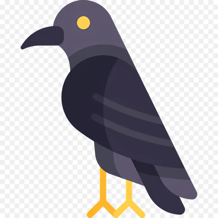 Corbeau，Oiseau Gris PNG