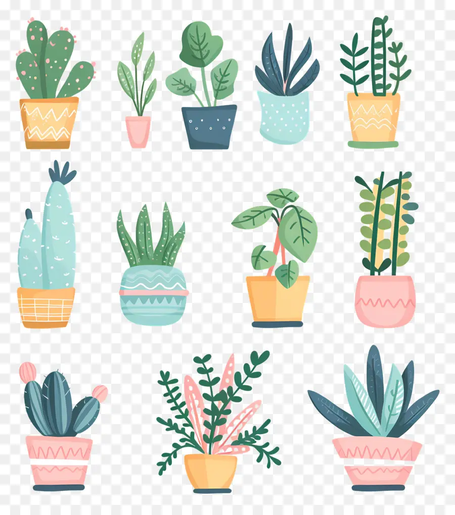 Fleurs En Pots，Cactus Colorés PNG