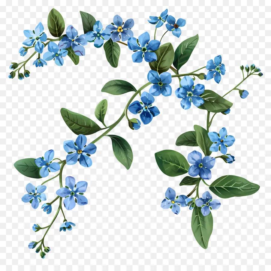 Petite Fleur，Fleurs Bleues PNG