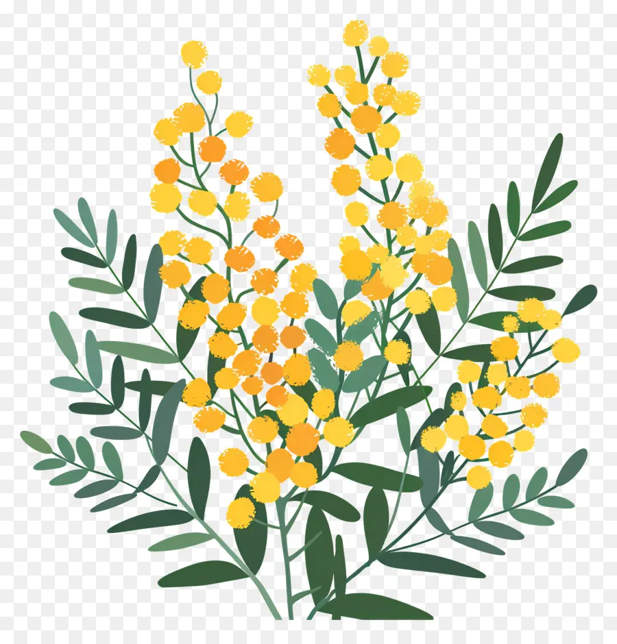 Petite Fleur，Fleurs Jaunes PNG