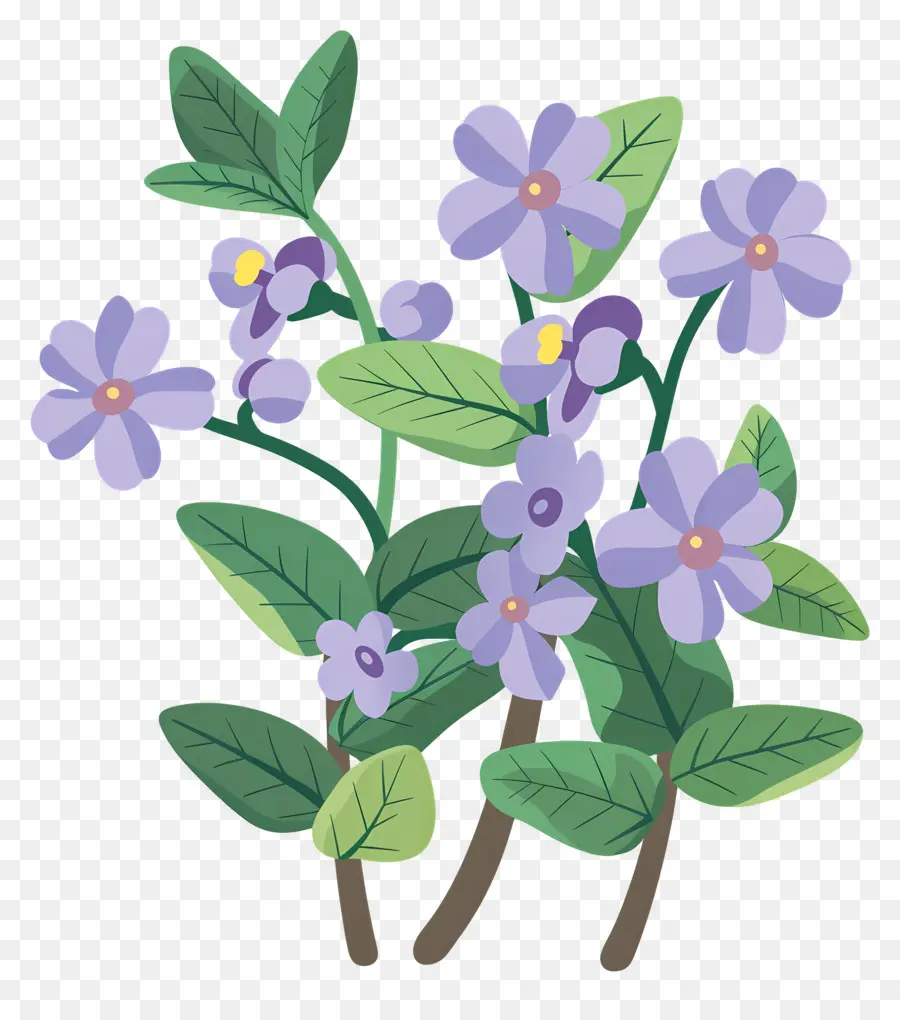 Petite Fleur，Fleurs Violettes PNG