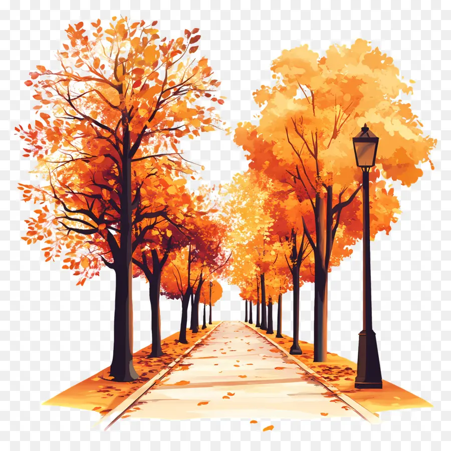 Rue D'automne，Arbres D'automne PNG