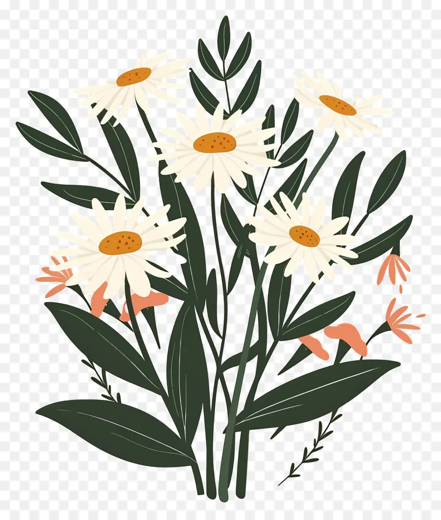 Fleurs De Marguerite，Fleurs Mélangées PNG