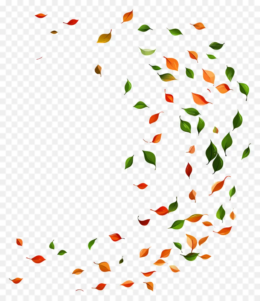 Feuilles Flottantes，Feuilles PNG