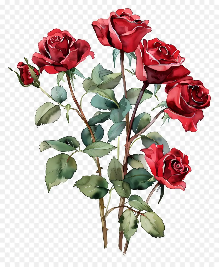 Fleur Rose，Roses Rouges PNG