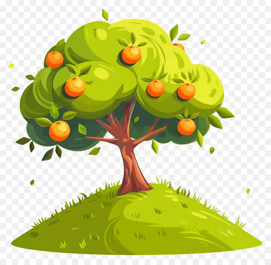 Oranger，Fruit PNG