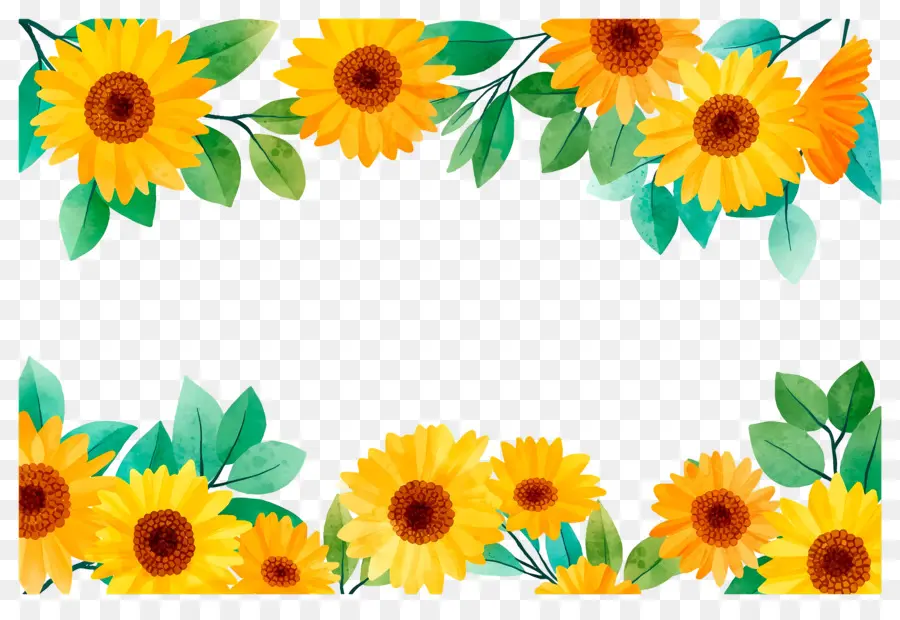 Bordure De Tournesols，Cadre Tournesol PNG