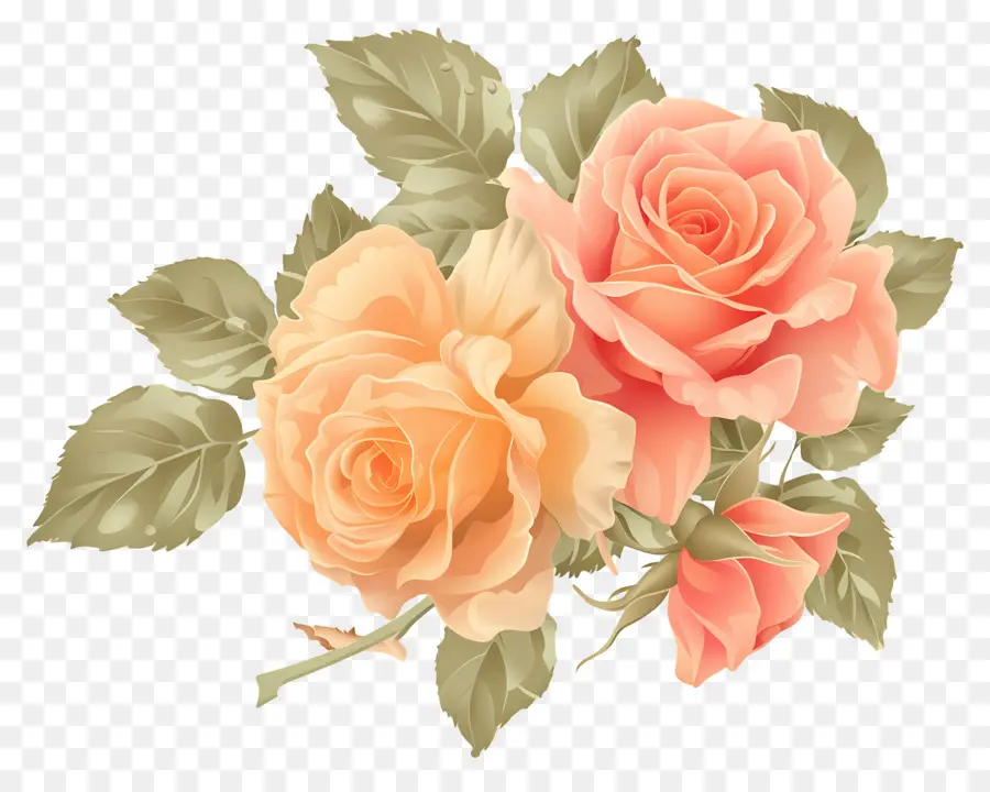 Fleur Rose，Roses PNG