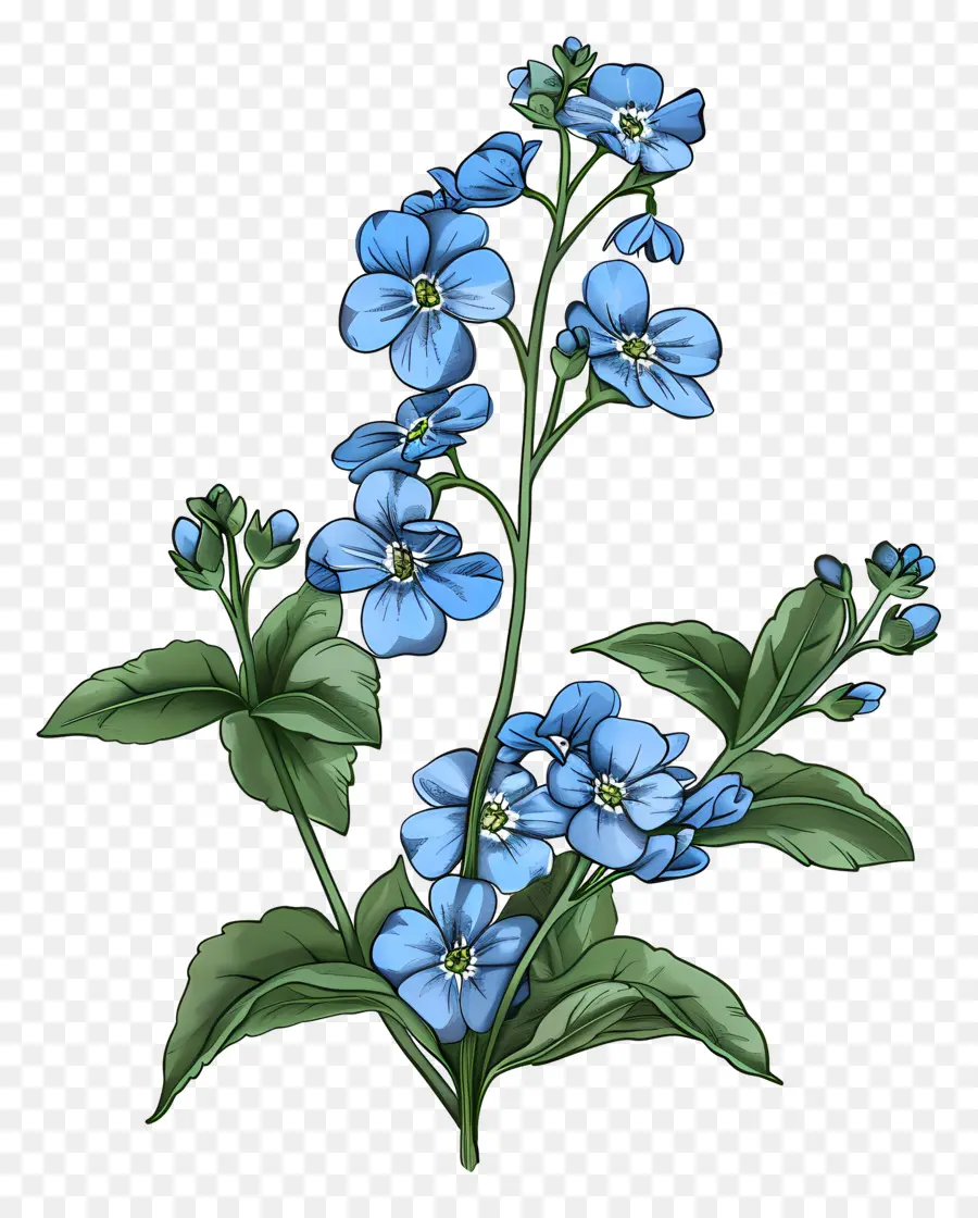 Petite Fleur，Fleurs Bleues PNG