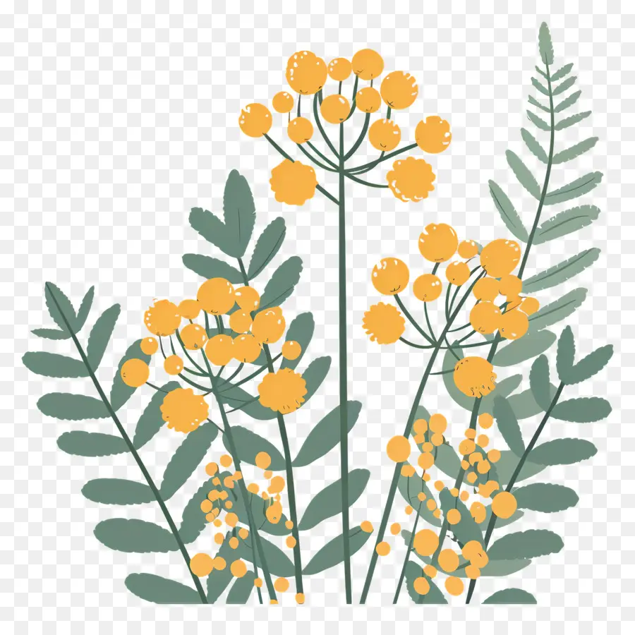 Petite Fleur，Fleurs Jaunes PNG