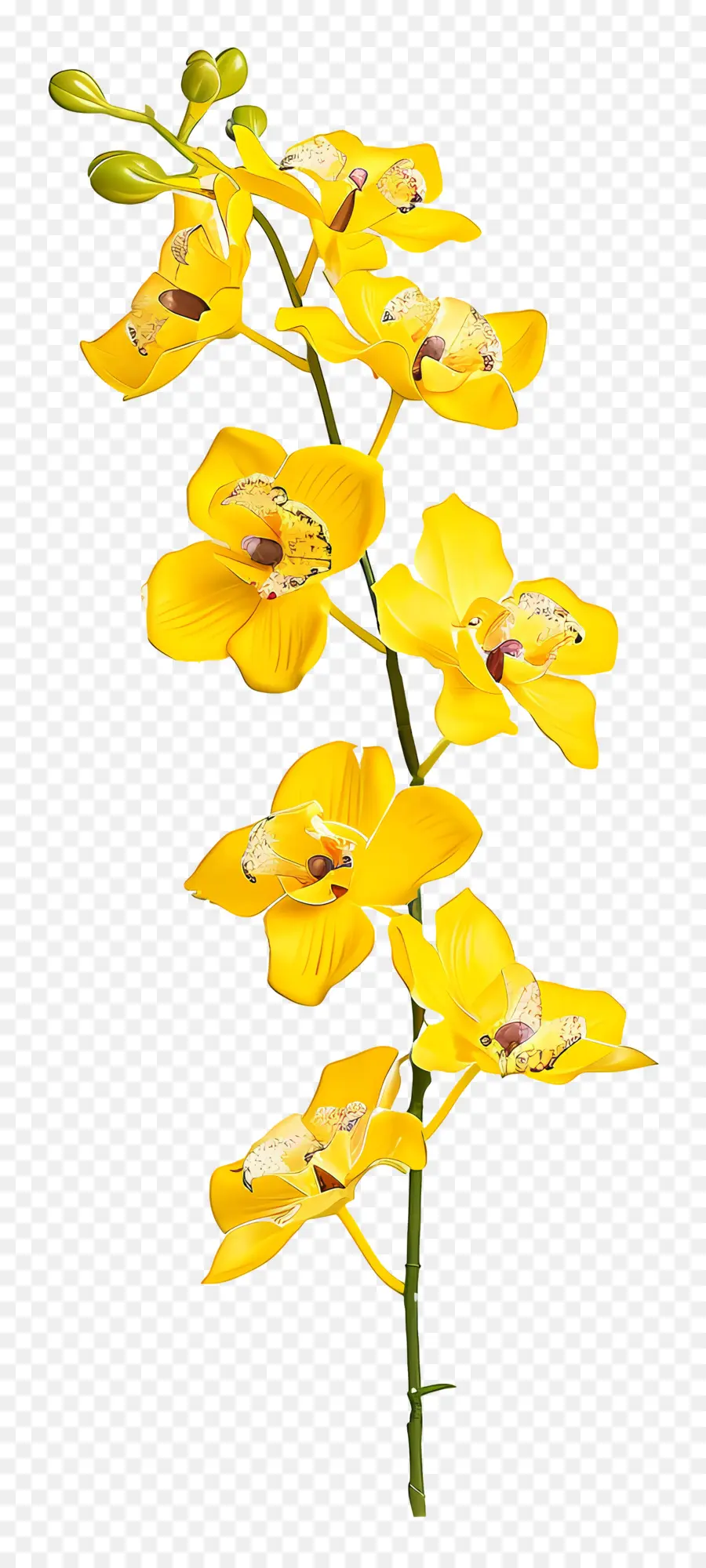 Fleur D'orchidée，Orchidée Jaune PNG