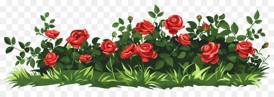 Rosier，Roses PNG