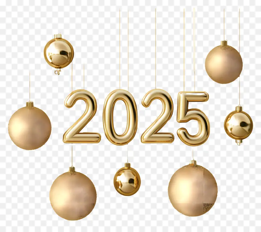 2025 Or，Ornements 2024 PNG