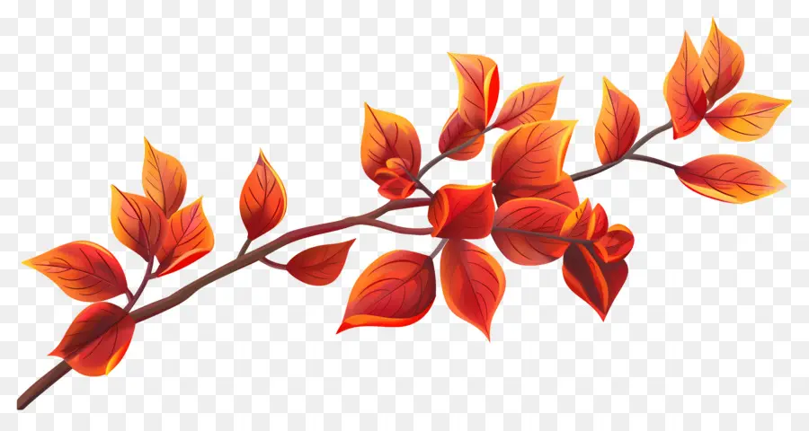 Branche D'automne，Feuilles Rouges PNG