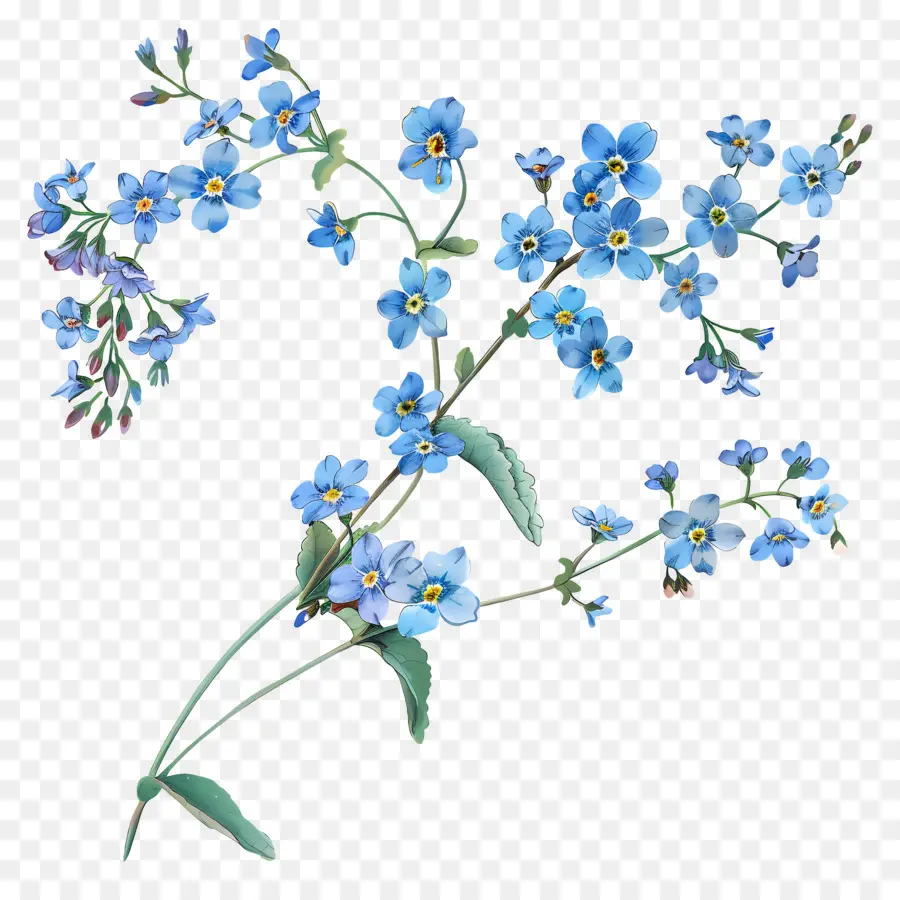 Petite Fleur，Fleurs Bleues PNG