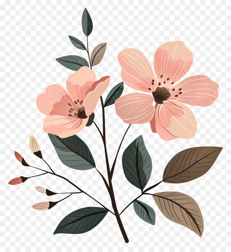 Fond Rose，Fleurs PNG