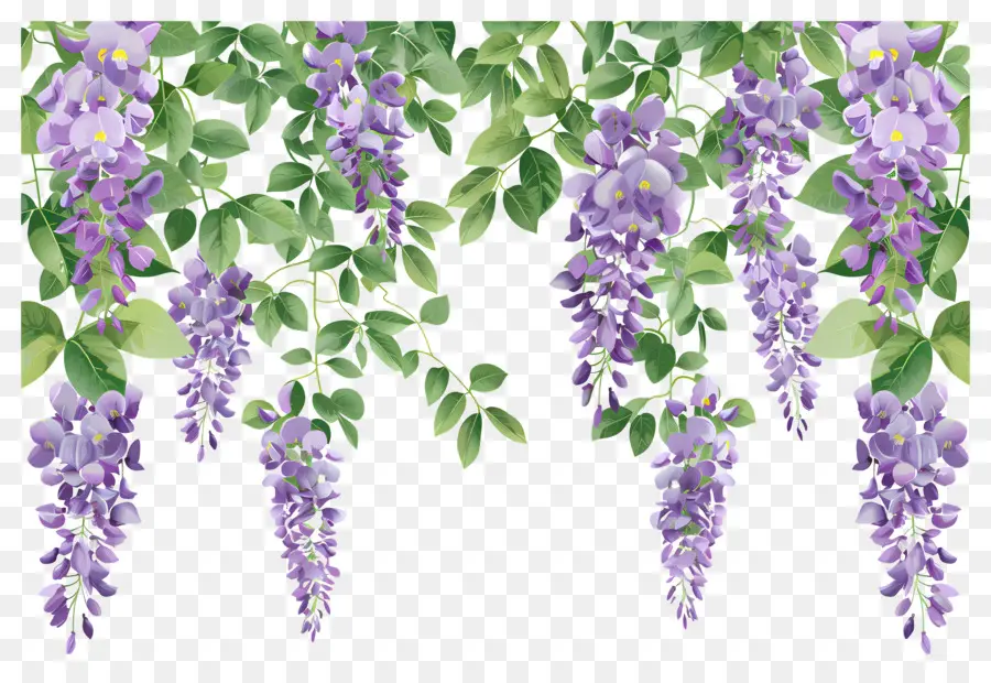 Fleurs Suspendues，Fleurs Violettes PNG