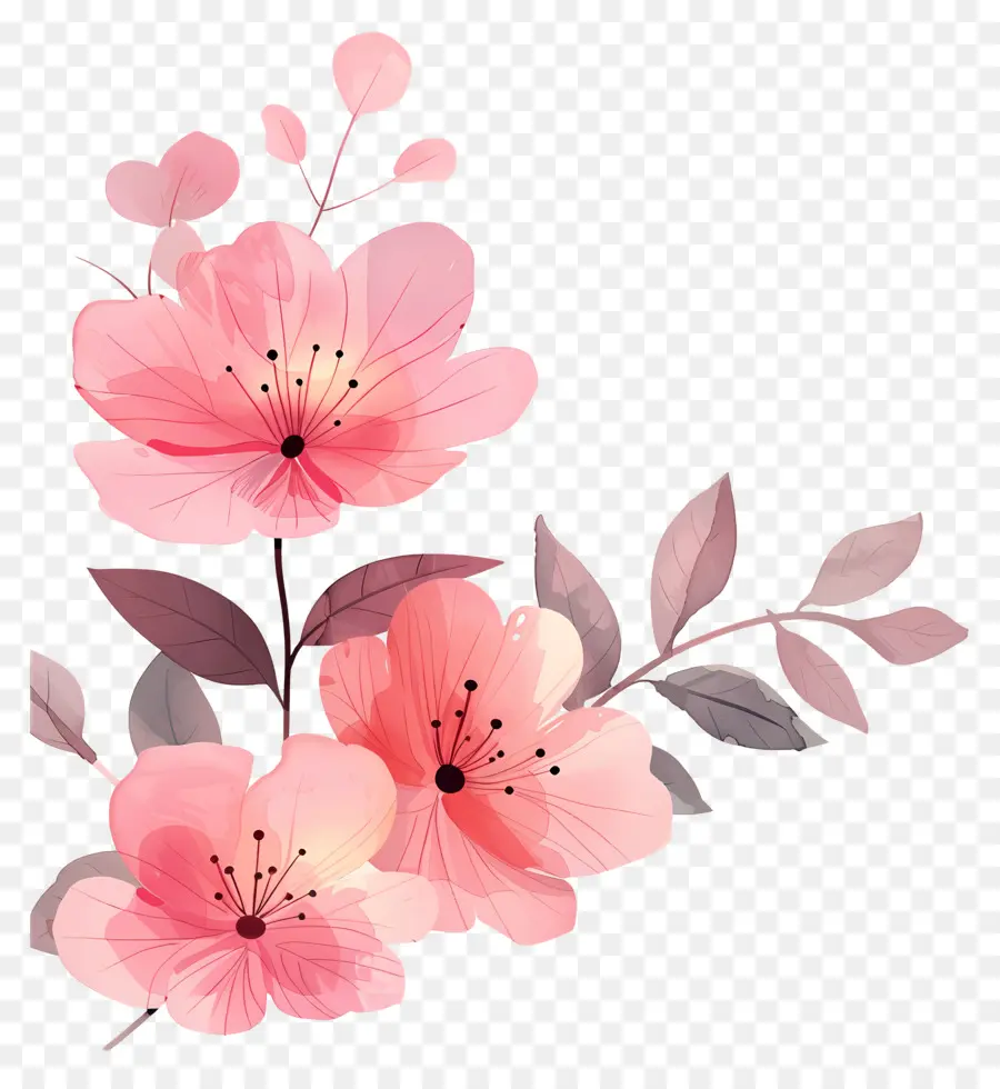 Fond Rose，Fleurs Roses PNG