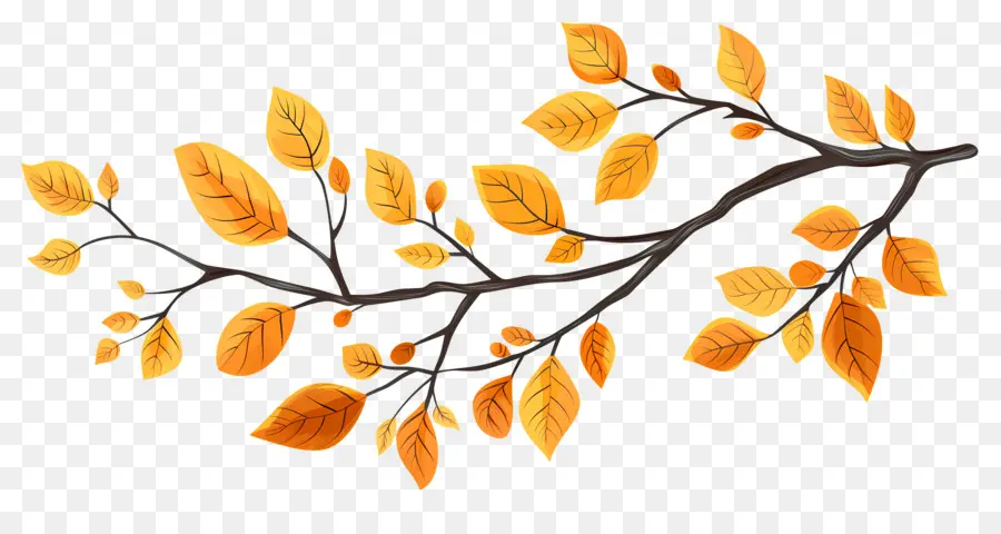 Branche D'automne，Glands Et Feuilles PNG