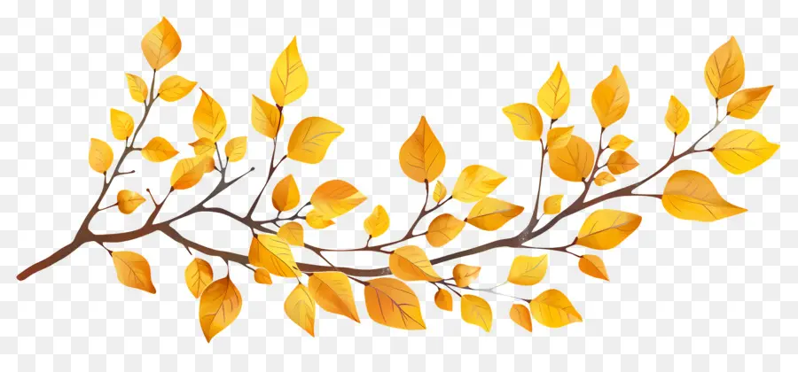 Branche D'automne，Glands Et Feuilles PNG