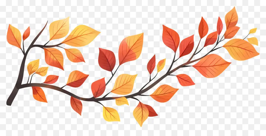 Branche D'automne，Glands Et Feuilles PNG