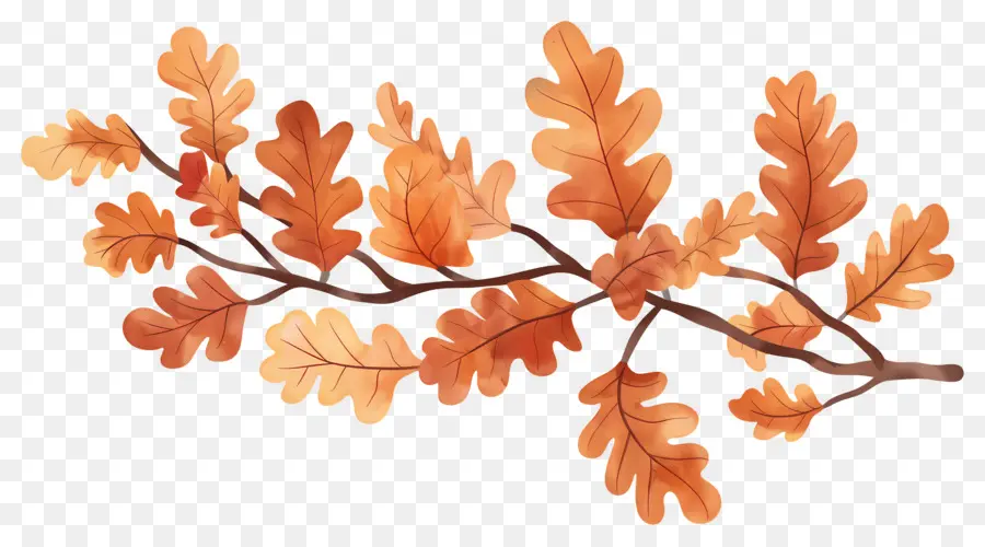 Branche D'automne，Glands Et Feuilles PNG