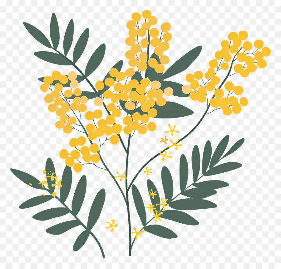 Petite Fleur，Fleurs Jaunes PNG