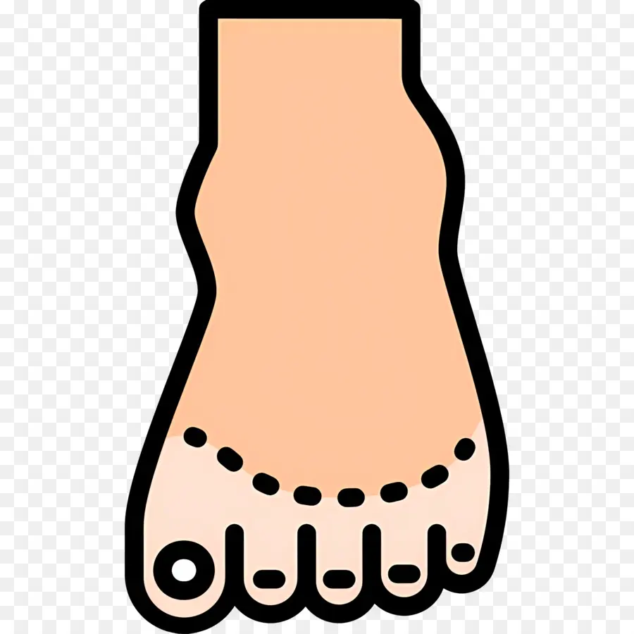 Orteil Du Pied，Pied PNG