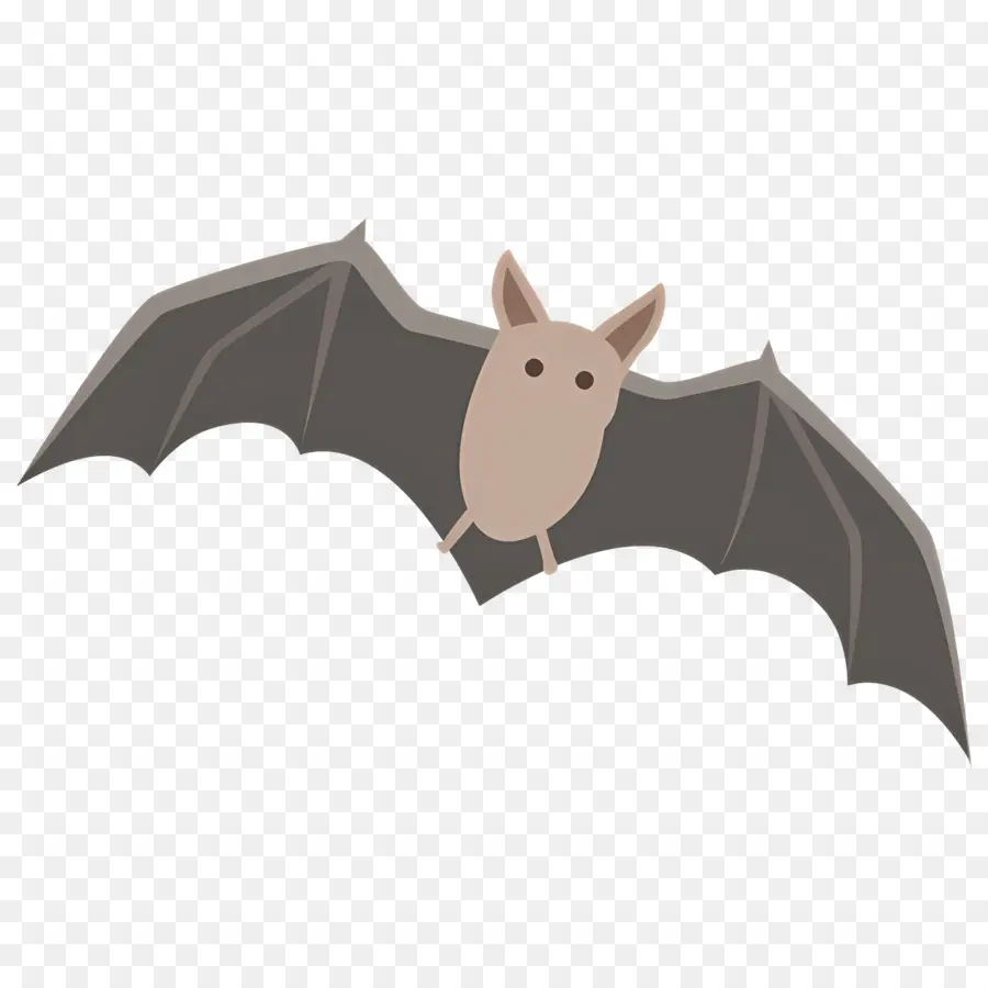 Chauve Souris D'halloween，Chauve Souris Brune PNG