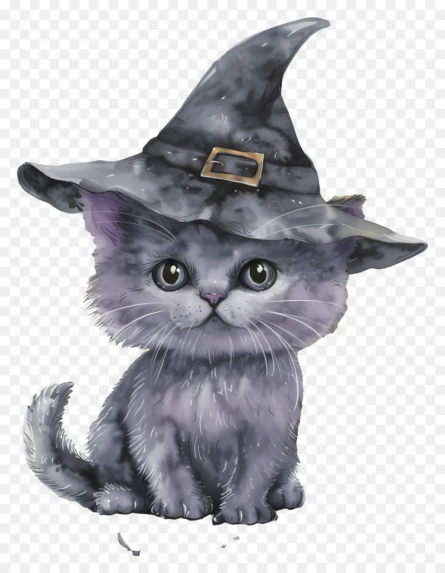 Chat D'halloween，Chat Noir Avec Chapeau De Sorcière PNG