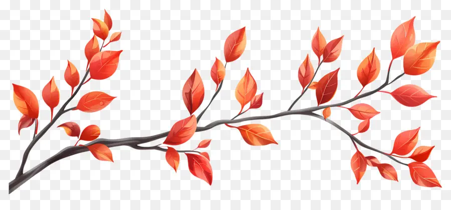 Branche D'automne，Glands Et Feuilles PNG