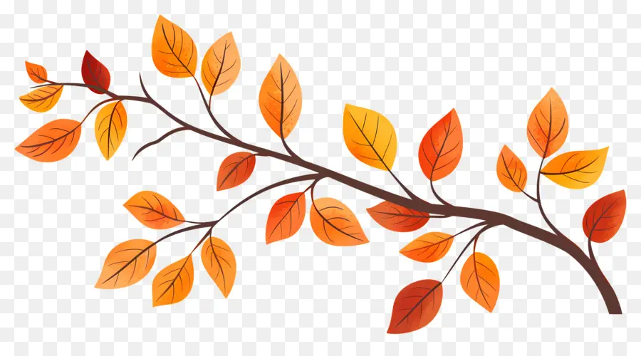 Branche D'automne，Glands Et Feuilles PNG