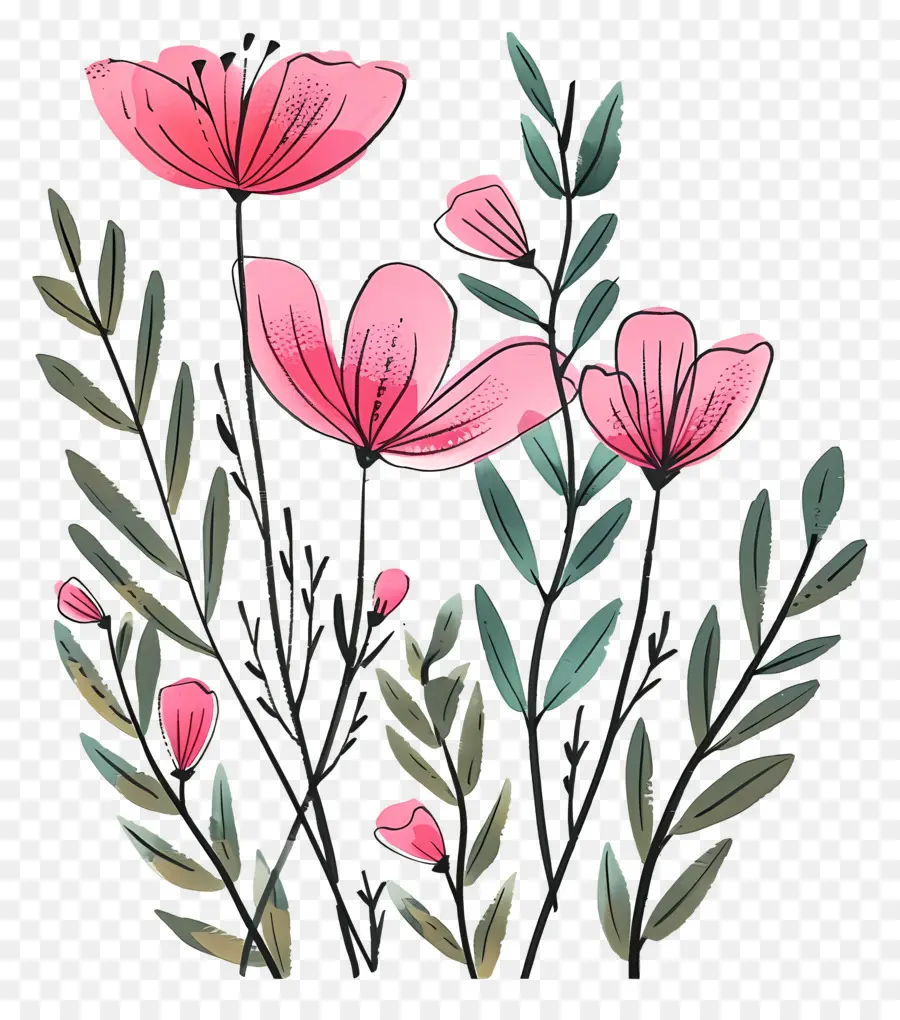 Fond Rose，Fleurs Roses PNG