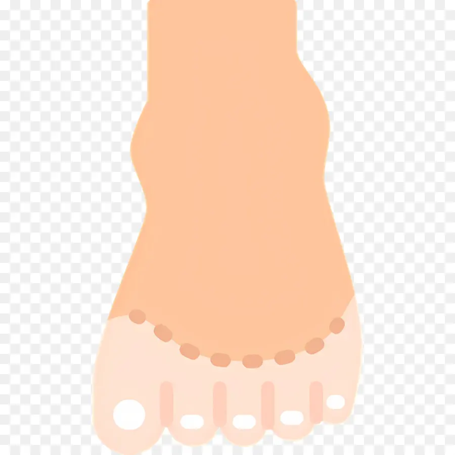 Orteil Du Pied，Illustration Du Pied PNG