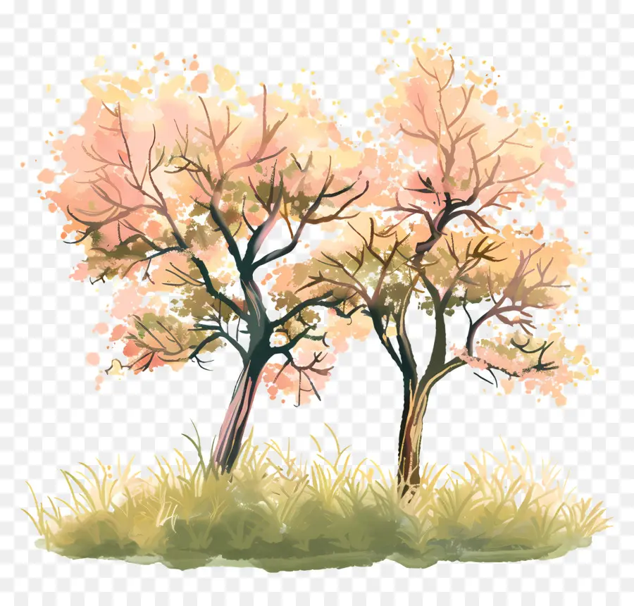 Fond Naturel，Arbres Dans Le Pré PNG