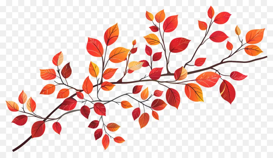 Branche D'automne，Feuilles D'automne PNG