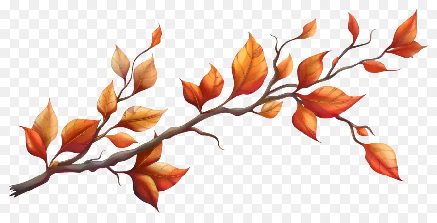 Branche D'automne，Feuilles D'automne PNG