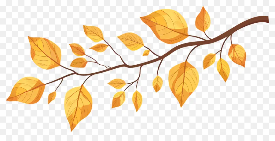 Branche D'automne，Glands Et Feuilles PNG